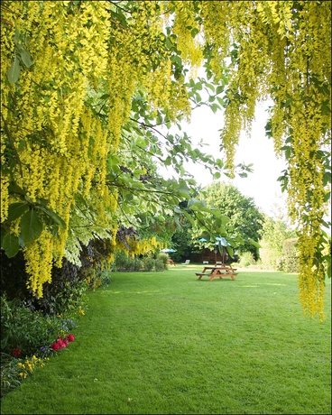 Imagen de los exteriores del Hotel Headfort Arms. Foto 6