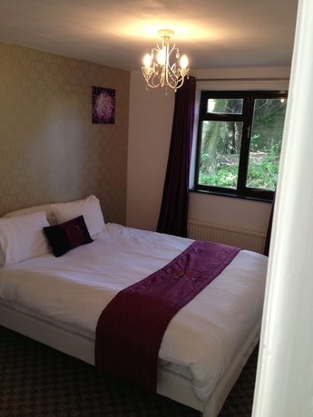 Imagen de la habitación del Hotel Healey. Foto 15