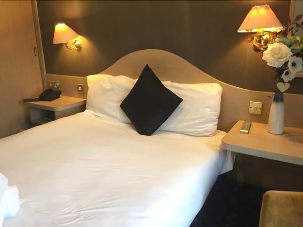 Imagen de la habitación del Hotel Healey. Foto 16