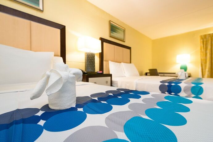 Imagen general del Hotel Heart Of Manteo Motor Lodge. Foto 8