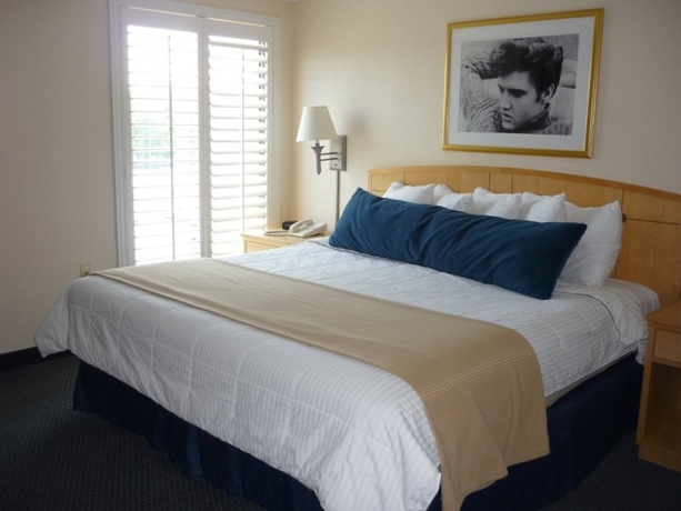 Imagen general del Hotel Heartbreak Hotel. Foto 2