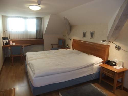 Imagen de la habitación del Hotel Hecht, Appenzell. Foto 16
