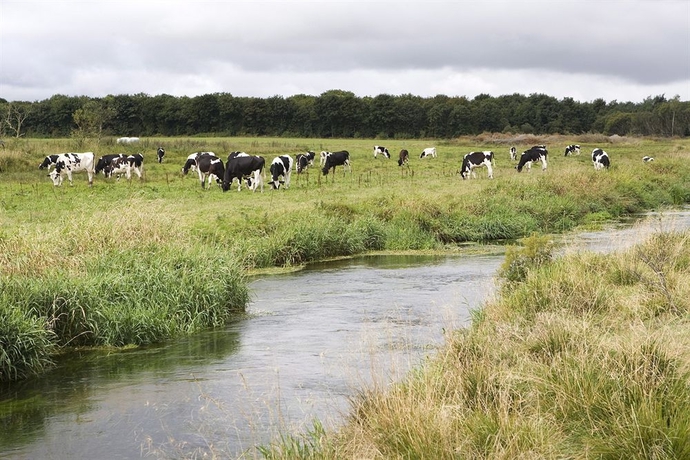 Imagen de los exteriores del Hotel Hedemarken. Foto 4