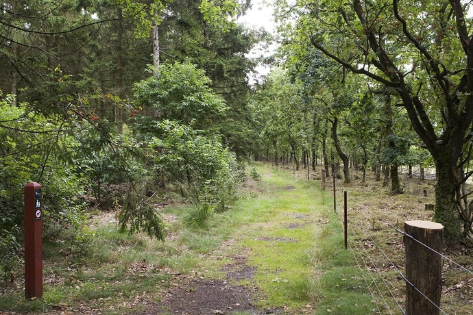 Imagen de los exteriores del Hotel Hedemarken. Foto 5