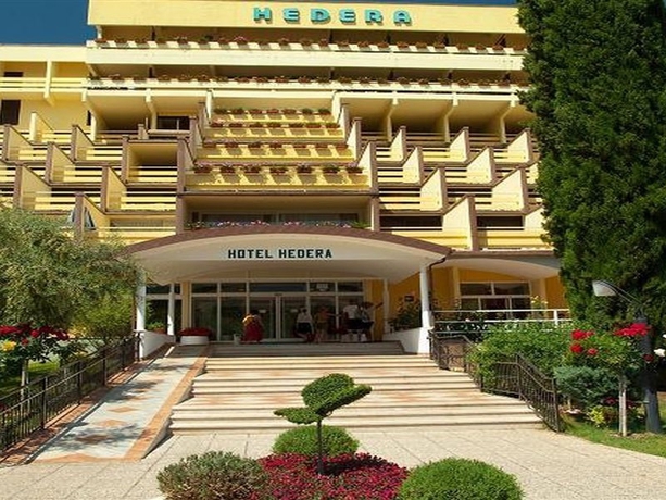 Imagen general del Hotel Hedera. Foto 5