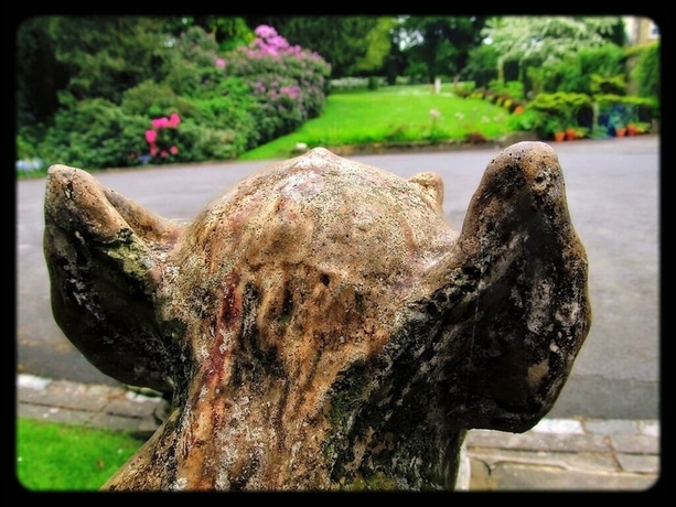 Imagen general del Hotel Hedgefield House. Foto 5