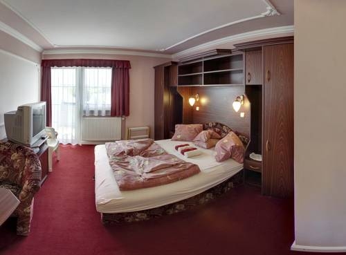 Imagen general del Hotel Hegyi Panzi&oacute;. Foto 10