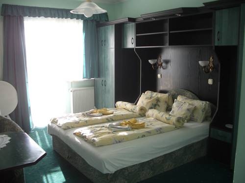 Imagen general del Hotel Hegyi Panzi&oacute;. Foto 13