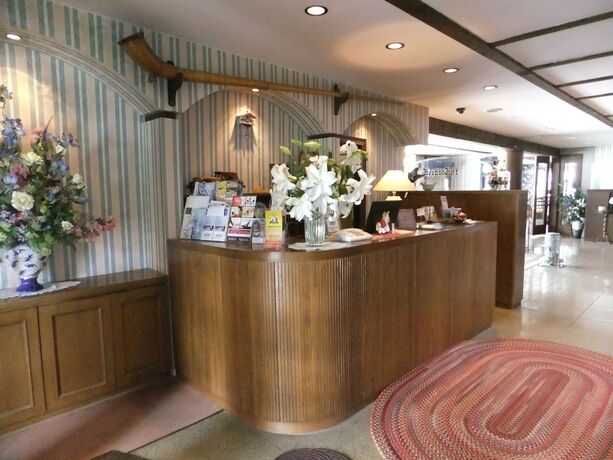 Imagen de los interiores del Hotel Heidi Hof. Foto 32