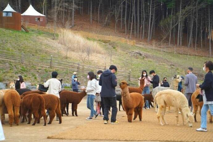 Imagen general del Hotel Heidi Korea. Foto 9