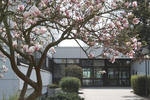 Imagen general del Hotel Heinrich Pesch. Foto 3