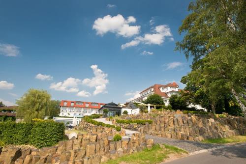 Imagen general del Hotel Heinz, Höhr-Grenzhausen. Foto 1