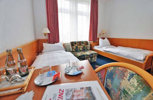 Imagen de la habitación del Hotel Heinz Plauen. Foto 4
