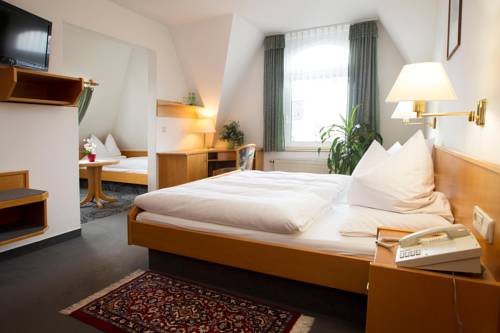 Imagen de la habitación del Hotel Heinz Plauen. Foto 9