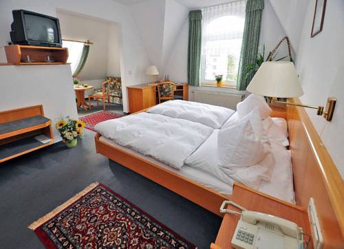 Imagen de la habitación del Hotel Heinz Plauen. Foto 14