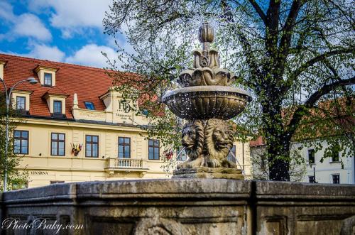 Imagen general del Hotel Hejtmansk&yacute; dvůr. Foto 4