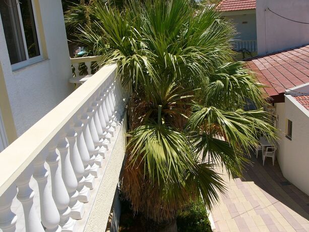 Imagen general del Hotel Helgas Paradise. Foto 7