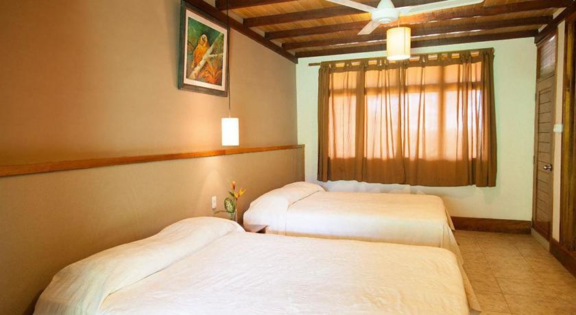 Imagen de la habitación del Hotel Heliconia Amazon River Lodge. Foto 3