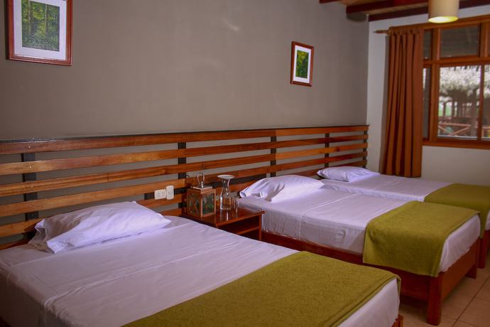 Imagen de la habitación del Hotel Heliconia Amazon River Lodge. Foto 15