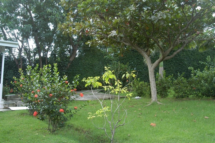 Imagen de los exteriores del Hotel Heliconia House. Foto 9