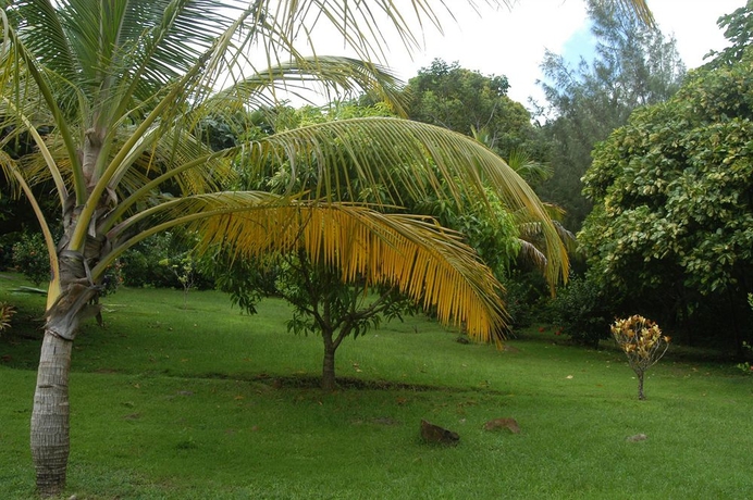 Imagen de los exteriores del Hotel Heliconia House. Foto 11