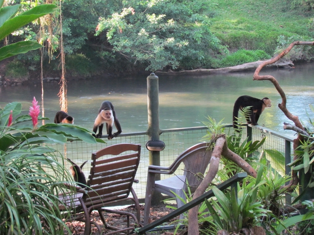 Imagen de los exteriores del Hotel Heliconia Island. Foto 13