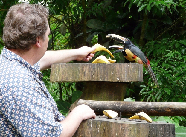 Imagen de los exteriores del Hotel Heliconia Island. Foto 16