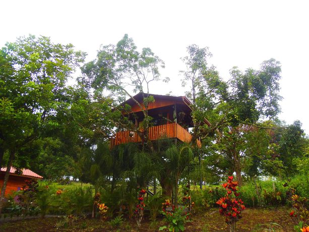 Imagen de los exteriores del Hotel Heliconias Nature Inn and Hot Springs. Foto 9