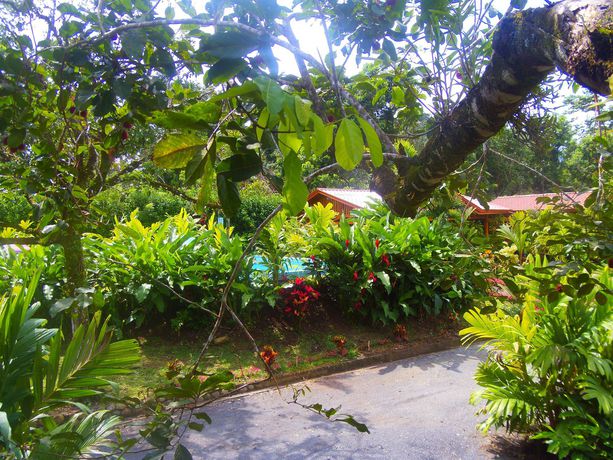 Imagen de los exteriores del Hotel Heliconias Nature Inn and Hot Springs. Foto 10