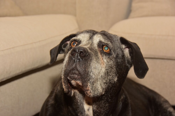 Imagen general del Hotel Helios, Milano Marittima. Foto 2