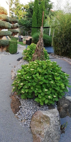 Imagen de la habitación del Hotel Hellers Twenty Four 1. Foto 6