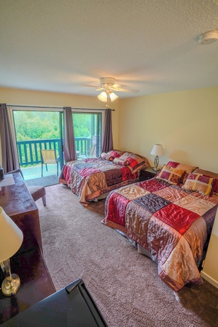 Imagen de la habitación del Hotel Helmcken Falls Lodge. Foto 4