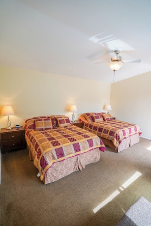 Imagen de la habitación del Hotel Helmcken Falls Lodge. Foto 9