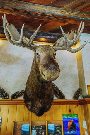 Imagen de los interiores del Hotel Helmcken Falls Lodge. Foto 16
