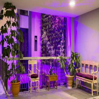 Imagen general del Hotel Helv&eacute;rica. Foto 12