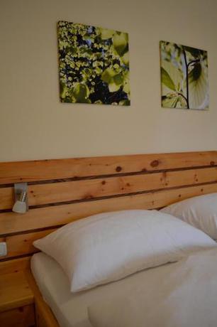 Imagen de la habitación del Hotel Hemetsberger. Foto 6