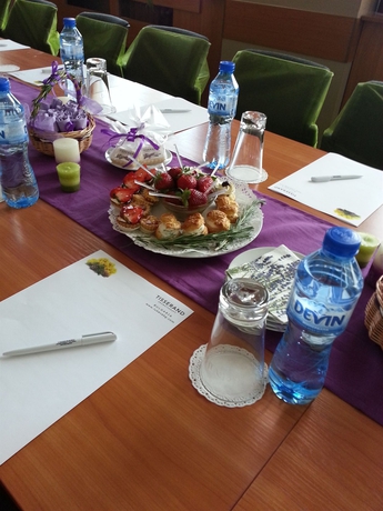 Imagen de los interiores del Hotel Hemus. Foto 13