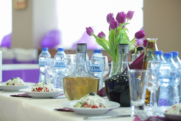 Imagen del bar/restaurante del Hotel Hemus. Foto 5