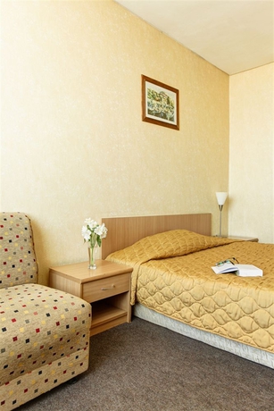 Imagen de la habitación del Hotel Hemus. Foto 9