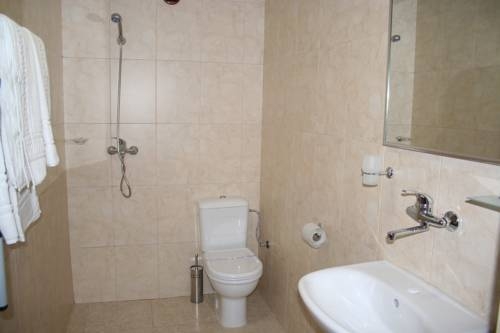 Imagen general del Hotel Hemus Hotel - Vratza. Foto 24