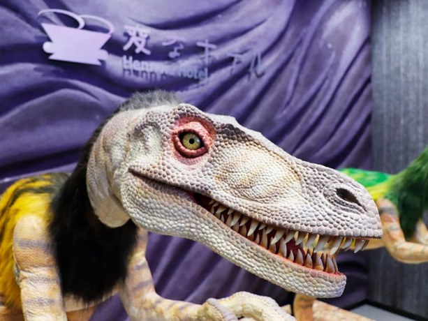 Imagen de los interiores del Hotel Henn Na Kyoto Hachijoguchi. Foto 20