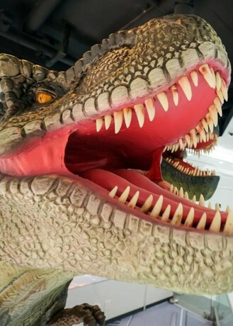 Imagen de los interiores del Hotel Henn Na Seoul Myeongdong. Foto 31