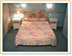 Imagen de la habitación del Hotel Henri Iv. Foto 5