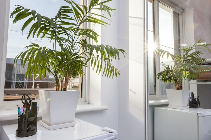 Imagen general del Hotel Henrietta, Carlton Studio Apartment. Foto 6