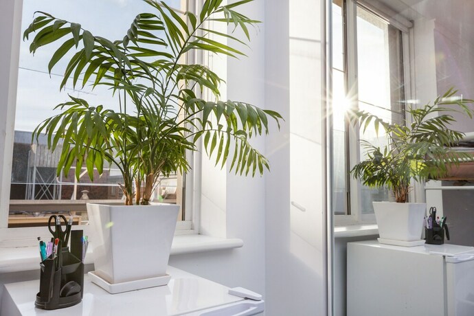 Imagen de la habitación del Hotel Henrietta, Carlton Studio Apartment. Foto 19