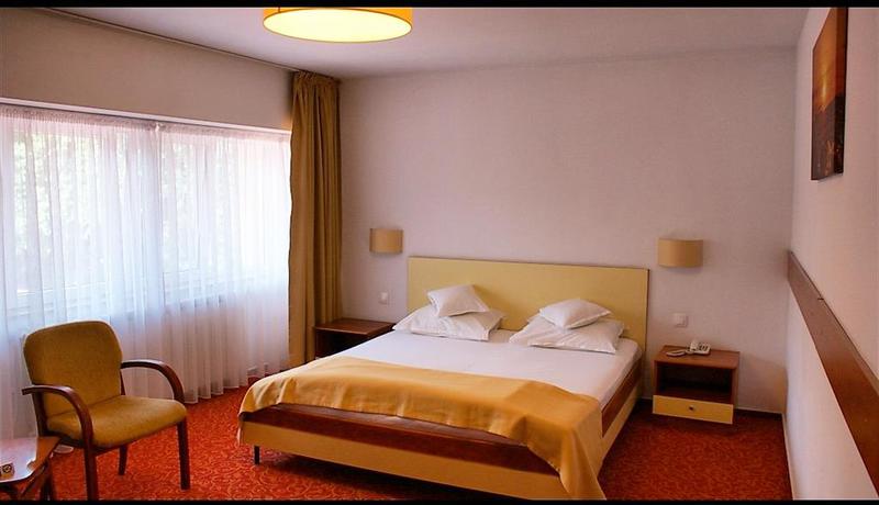 Imagen de la habitación del Hotel Herastrau. Foto 5