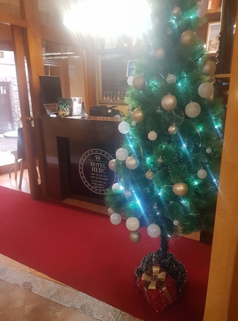 Imagen de los interiores del Hotel Herc. Foto 19