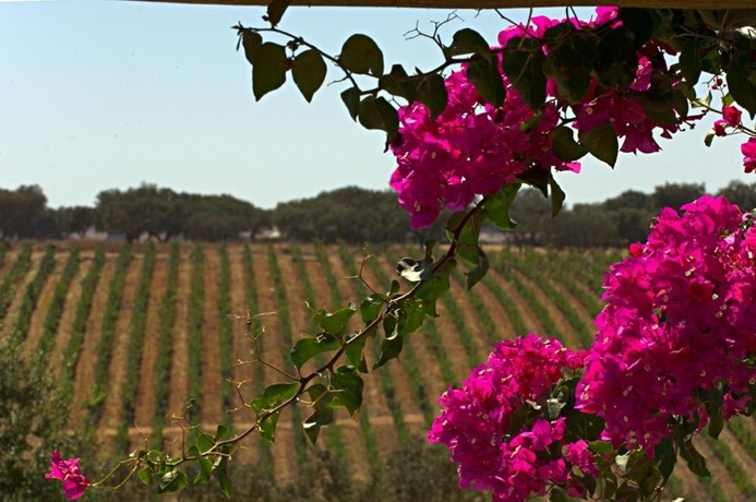Imagen de los exteriores del Hotel Herdade Da Malhadinha Nova. Foto 10