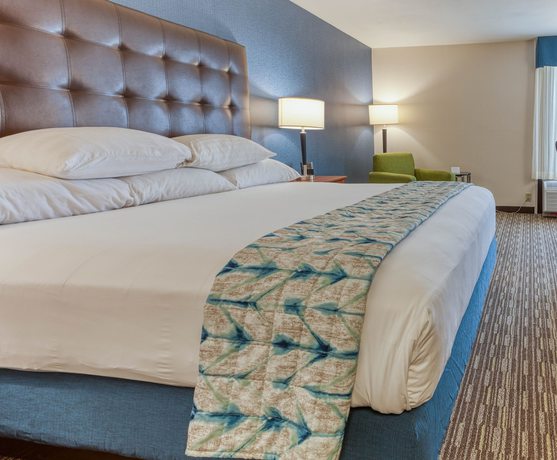 Imagen de la habitación del Hotel Heritage Inn & Suites St. Louis/Fenton, Trademark by Wyndham. Foto 15