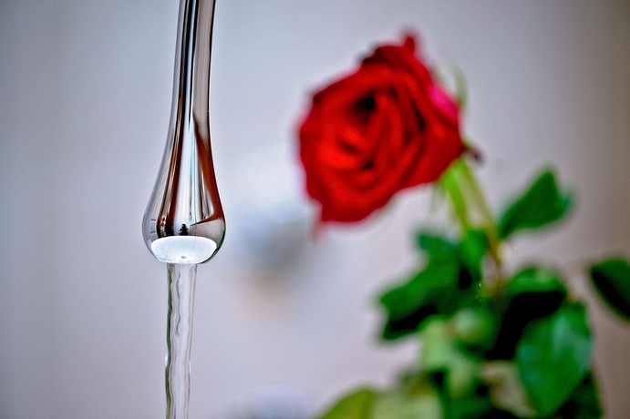 Imagen de la habitación del Hotel Heritage Jupiter Luxury. Foto 9